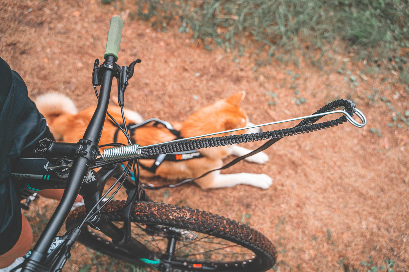 Non-stop Dogwear Bike Antenna | Adaptateurs entre laisse et vélo
